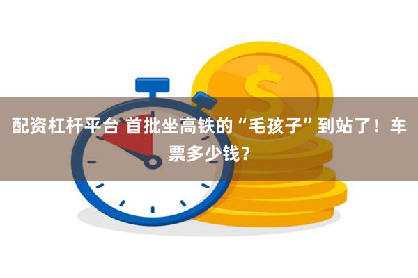 配资杠杆平台 首批坐高铁的“毛孩子”到站了！车票多少钱？