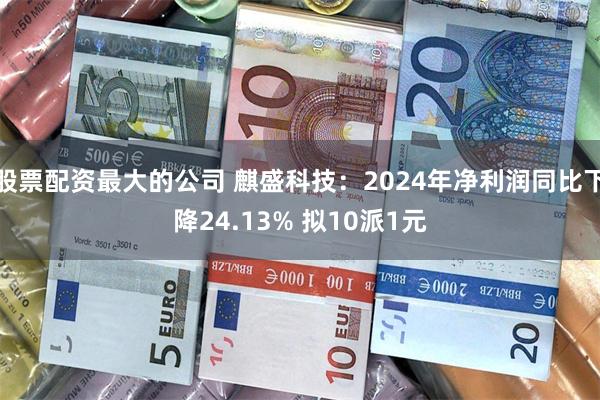 股票配资最大的公司 麒盛科技：2024年净利润同比下降24.13% 拟10派1元
