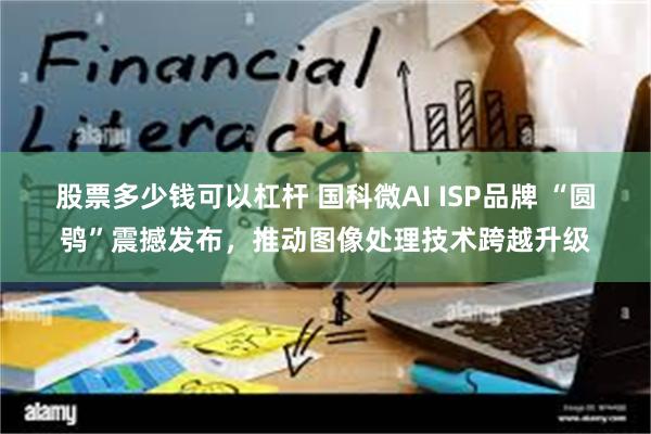 股票多少钱可以杠杆 国科微AI ISP品牌 “圆鸮”震撼发布，推动图像处理技术跨越升级