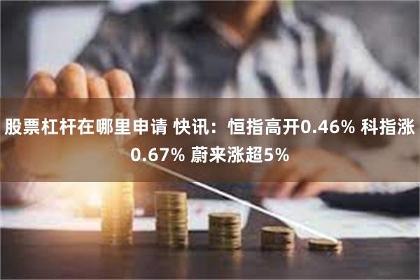 股票杠杆在哪里申请 快讯：恒指高开0.46% 科指涨0.67% 蔚来涨超5%