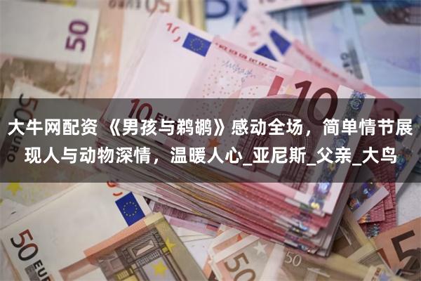 大牛网配资 《男孩与鹈鹕》感动全场，简单情节展现人与动物深情，温暖人心_亚尼斯_父亲_大鸟