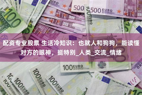 配资专业股票 生活冷知识：也就人和狗狗，能读懂对方的眼神，挺特别_人类_交流_情绪