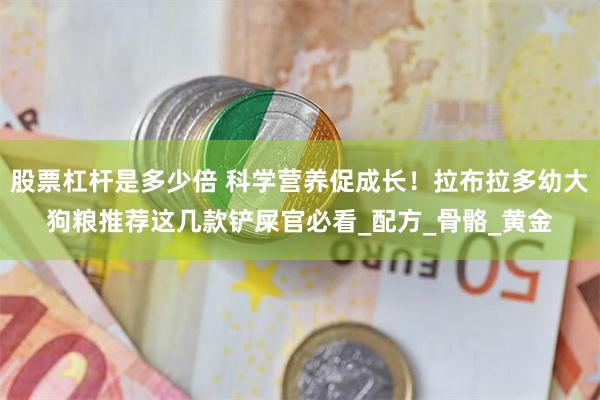 股票杠杆是多少倍 科学营养促成长！拉布拉多幼大狗粮推荐这几款铲屎官必看_配方_骨骼_黄金