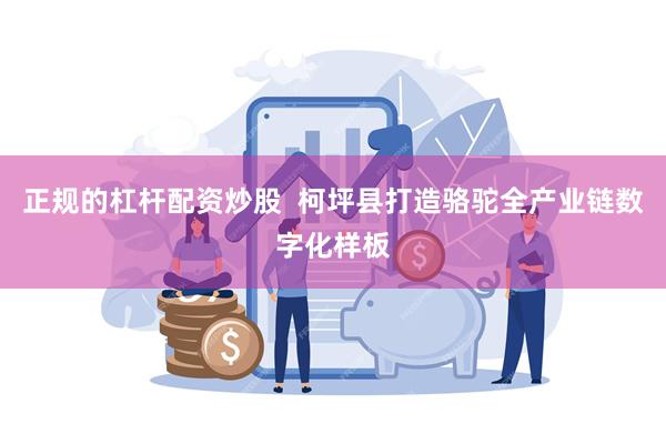 正规的杠杆配资炒股  柯坪县打造骆驼全产业链数字化样板