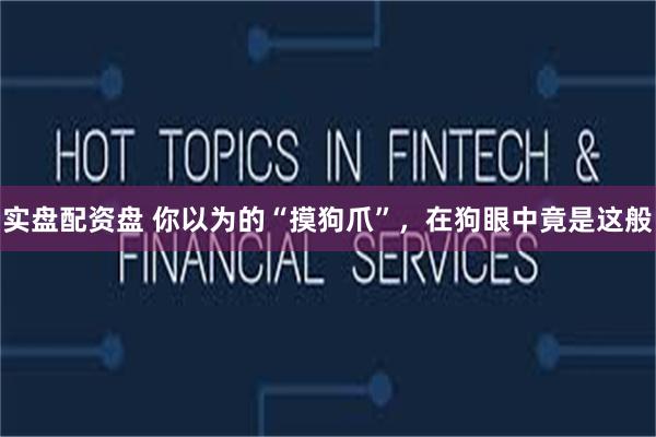 实盘配资盘 你以为的“摸狗爪”，在狗眼中竟是这般